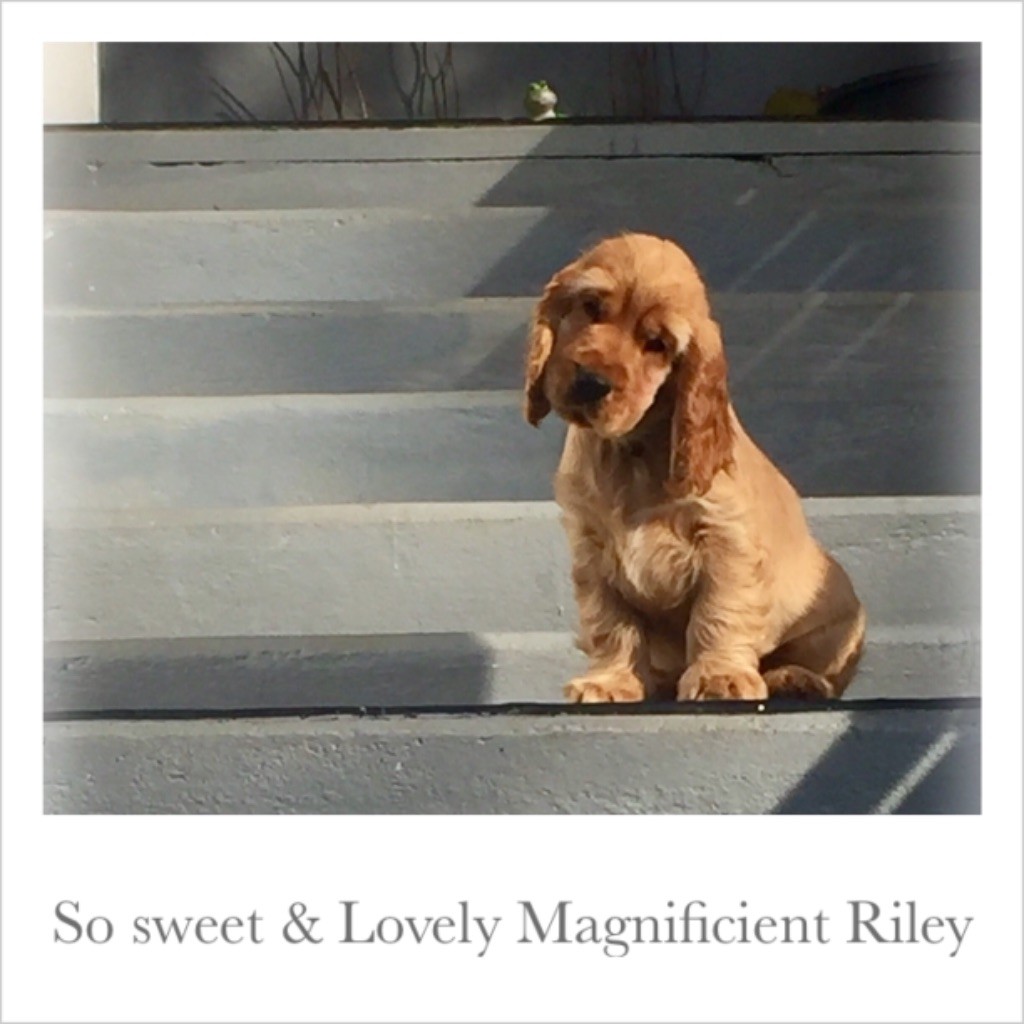 So sweet and Lovely Magnificient riley
