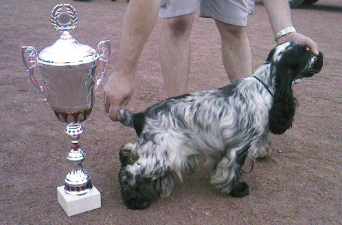 Cassis de made in Roques