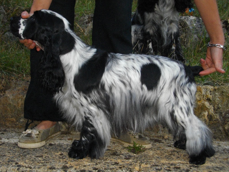 So sweet and Lovely Emotion in blue