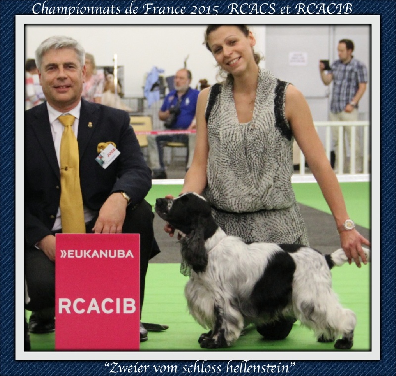 Zweier vom schloss hellenstein