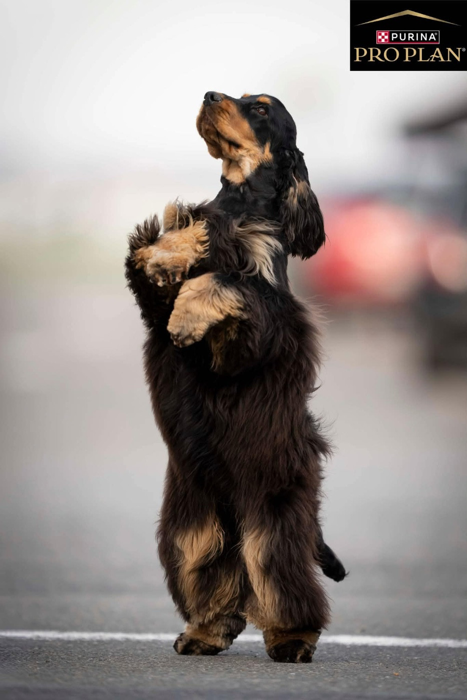 So sweet and Lovely ATLANTIS