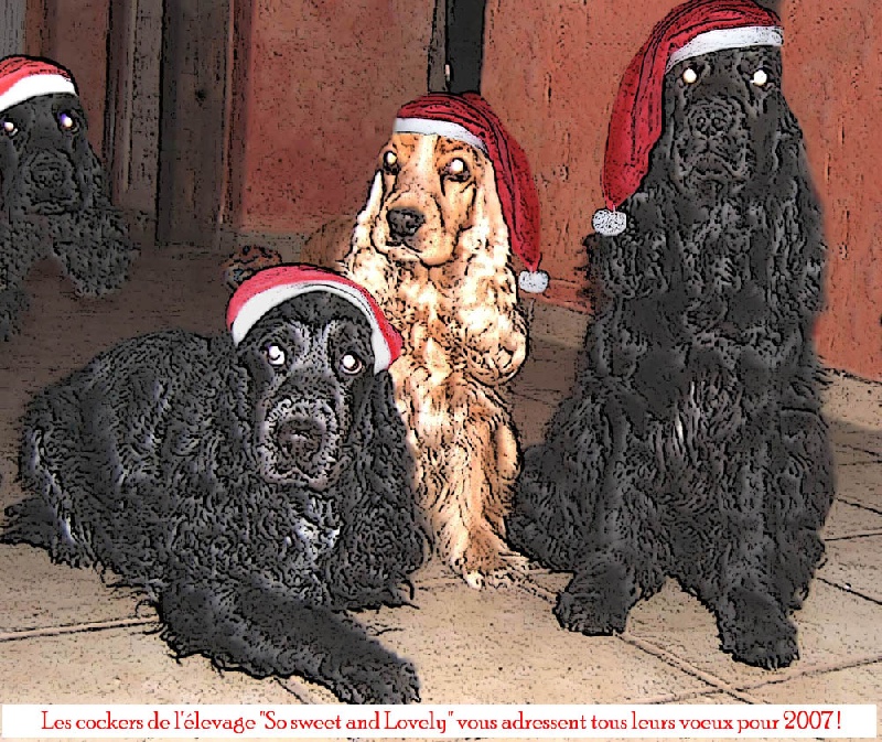 Les chiens de l'élevage